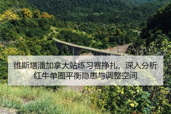 wei-si-ta-pan-jia-na-da-zhan-lian-xi-sai-zheng-zha-shen-ru-fen-xi-hong-niu-dan-quan-ping-heng-yin-huan-yu-tiao-zheng-2-376.jpg