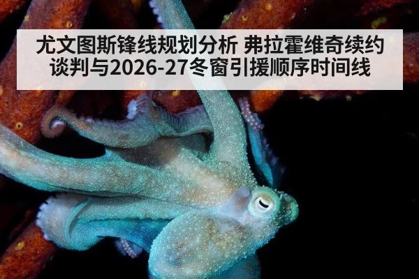 尤文图斯锋线规划分析 弗拉霍维奇续约谈判与2026-27冬窗引援顺序时间线